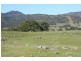 Tenterfield NSW 2372