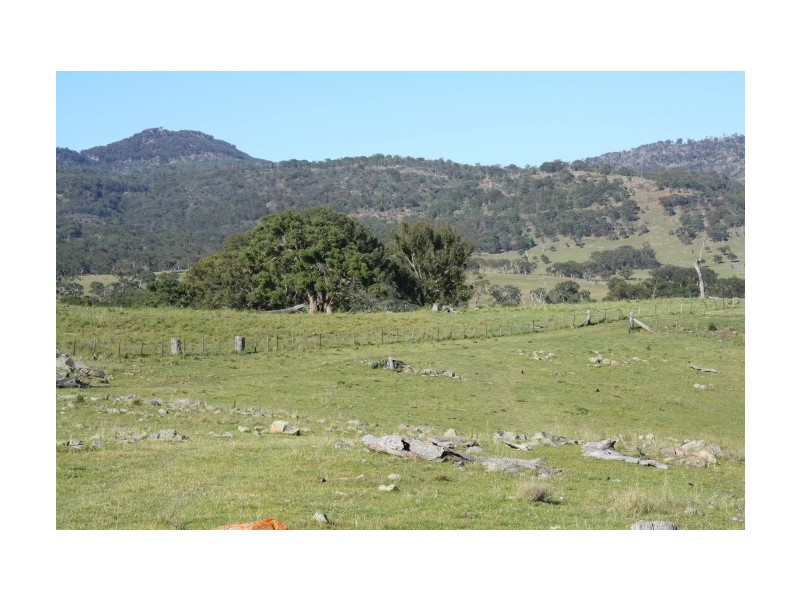 Tenterfield NSW 2372