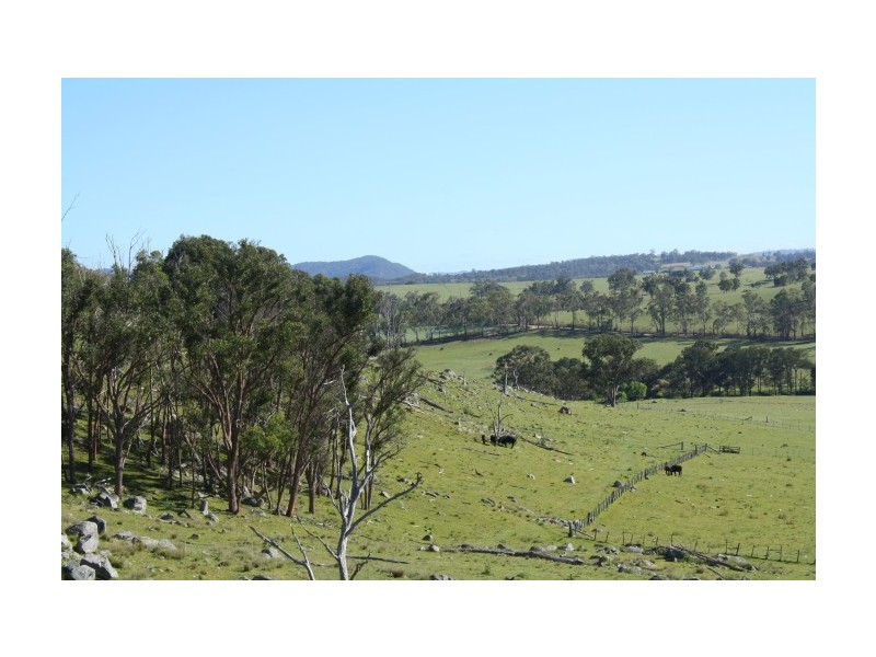 Tenterfield NSW 2372