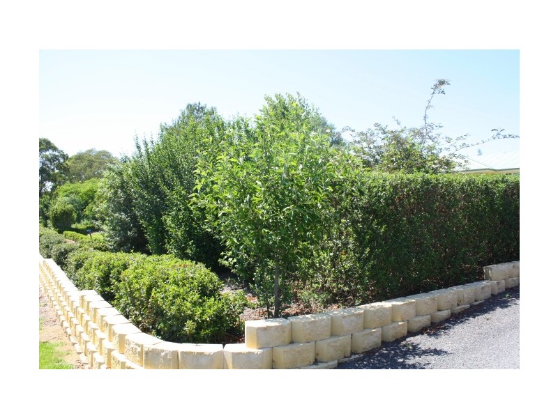 Tenterfield NSW 2372