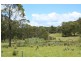 Tenterfield NSW 2372