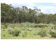 Tenterfield NSW 2372