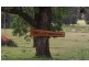 Tenterfield NSW 2372