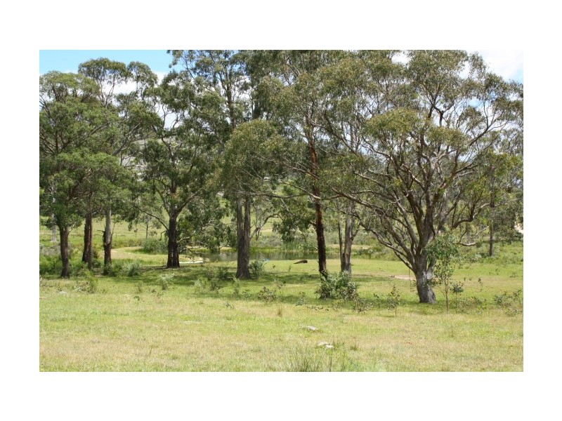 Tenterfield NSW 2372