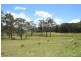 Tenterfield NSW 2372
