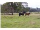 Tenterfield NSW 2372