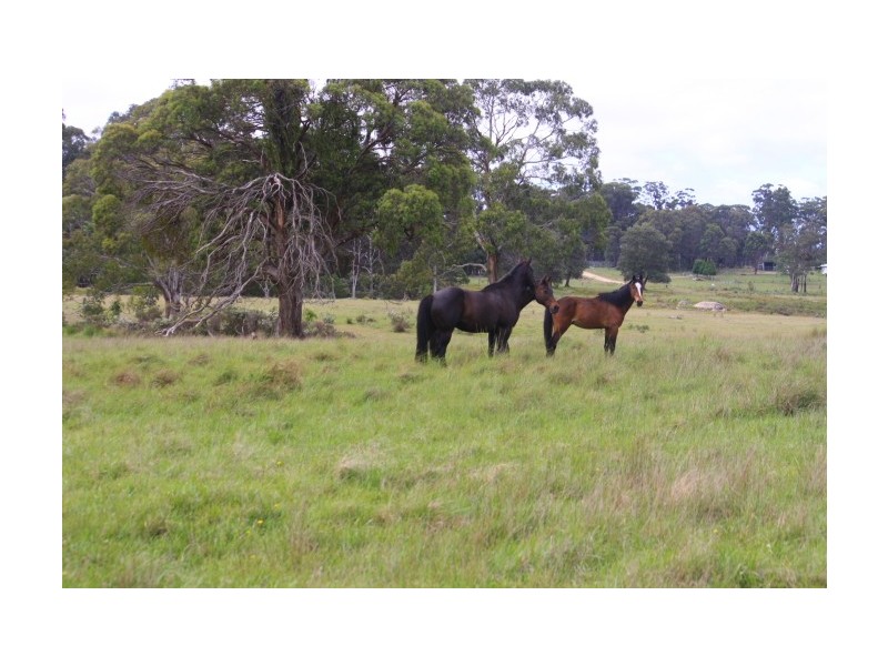 Tenterfield NSW 2372