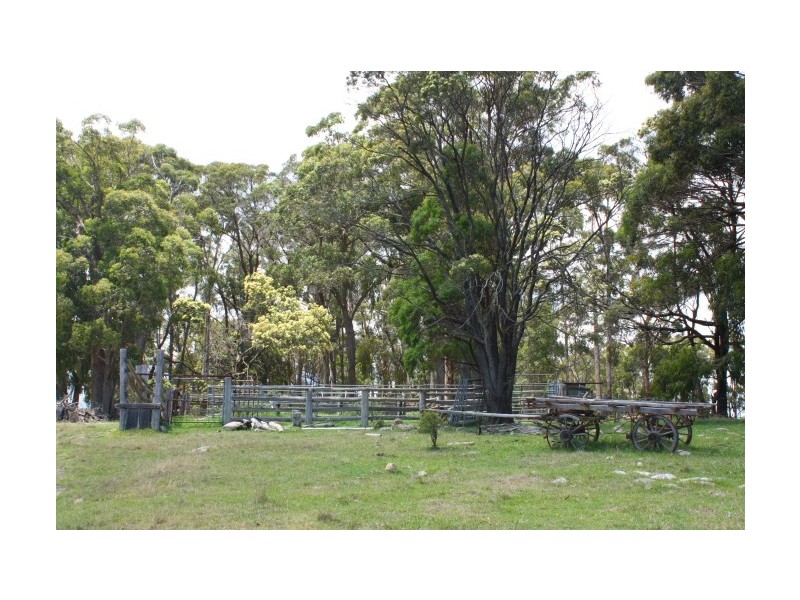 Tenterfield NSW 2372