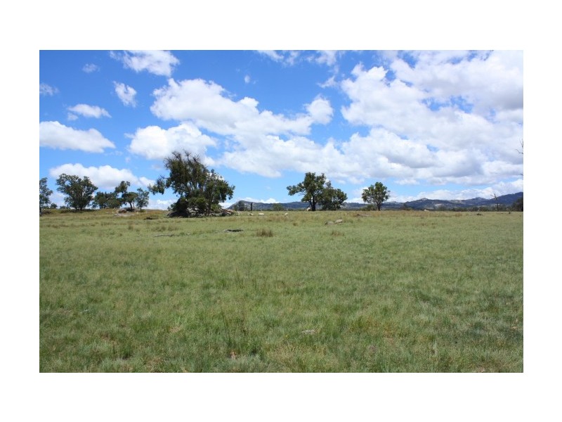 Tenterfield NSW 2372