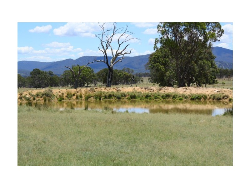 Tenterfield NSW 2372