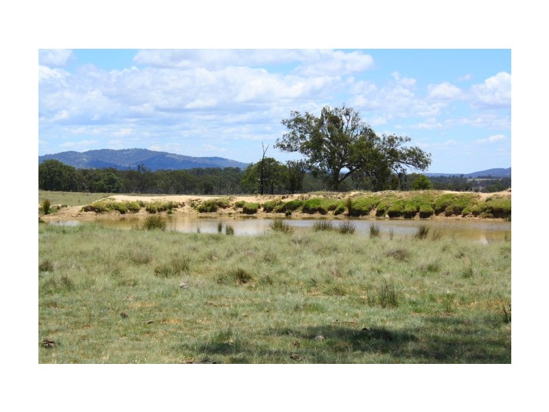 Tenterfield NSW 2372