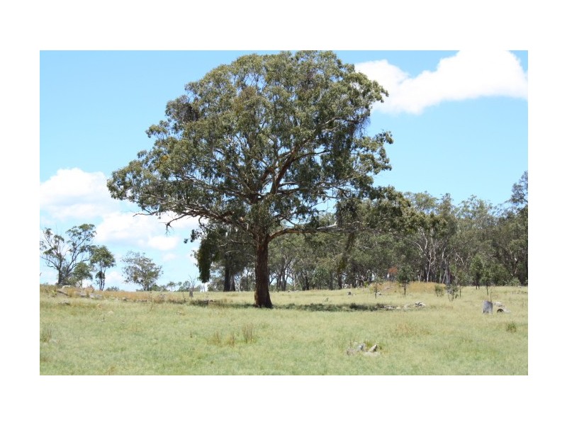 Tenterfield NSW 2372