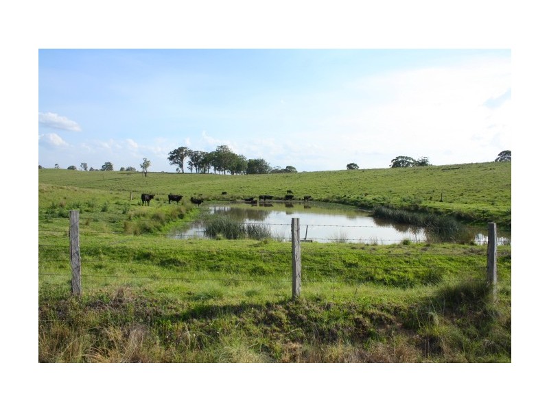 Tenterfield NSW 2372
