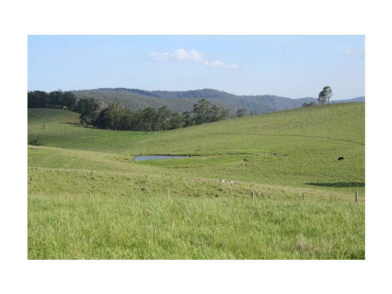 Tenterfield NSW 2372