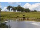 Tenterfield NSW 2372