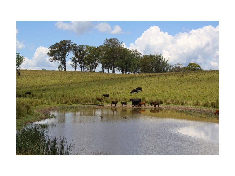 Tenterfield NSW 2372