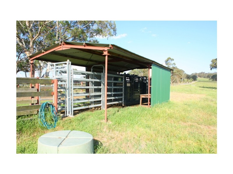 Tenterfield NSW 2372