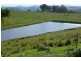Tenterfield NSW 2372