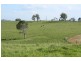 Tenterfield NSW 2372