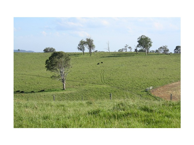 Tenterfield NSW 2372