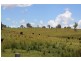 Tenterfield NSW 2372
