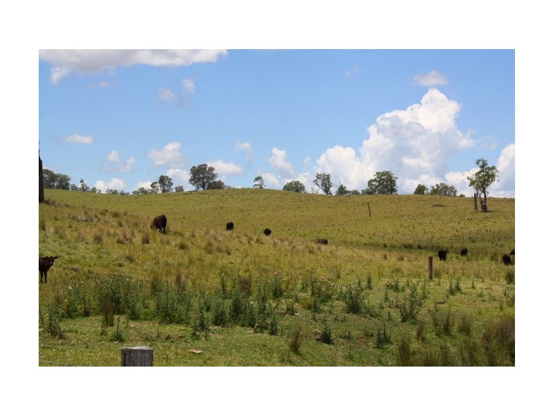Tenterfield NSW 2372