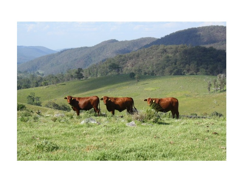 Tenterfield NSW 2372