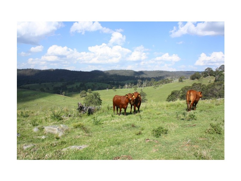 Tenterfield NSW 2372