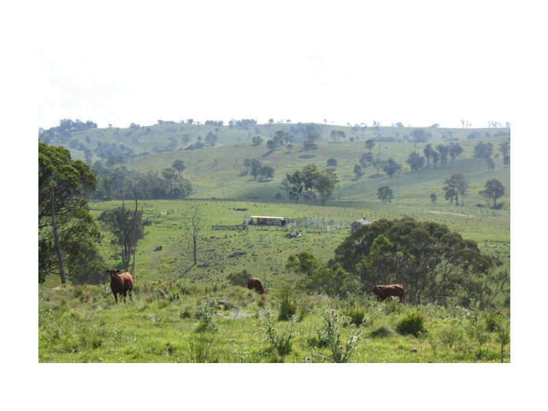 Tenterfield NSW 2372