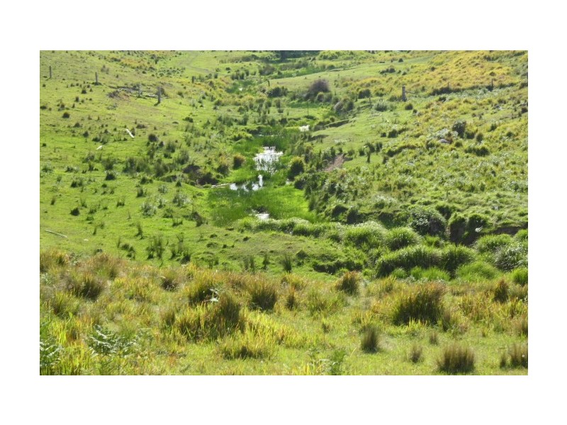 Tenterfield NSW 2372