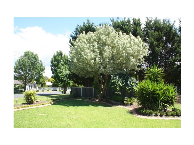 Tenterfield NSW 2372
