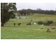 Torrington NSW 2371
