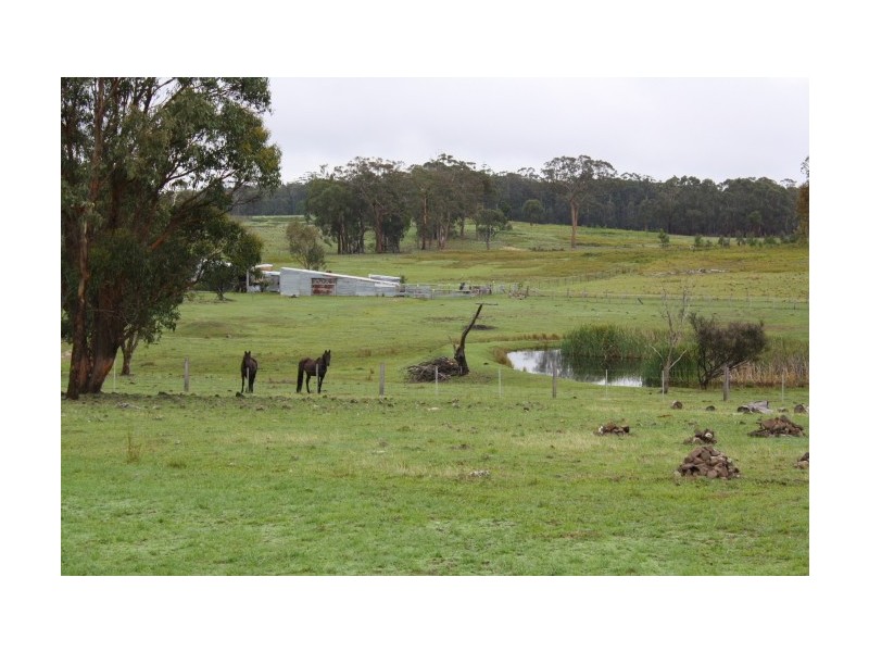 Torrington NSW 2371