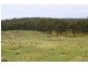 Torrington NSW 2371
