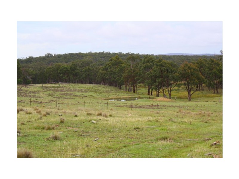 Torrington NSW 2371