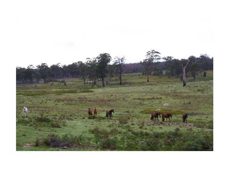Torrington NSW 2371