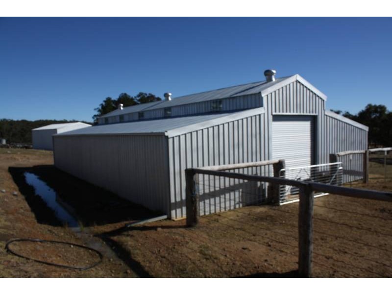 Torrington NSW 2371
