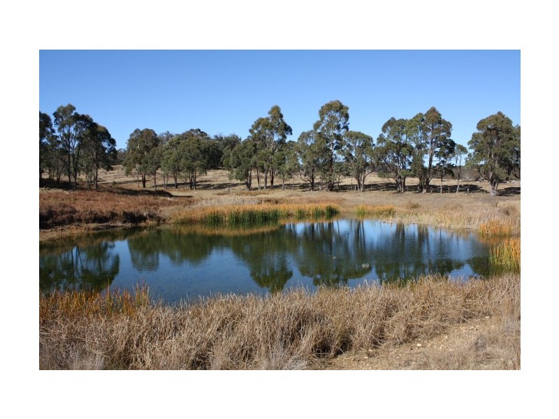 Torrington NSW 2371