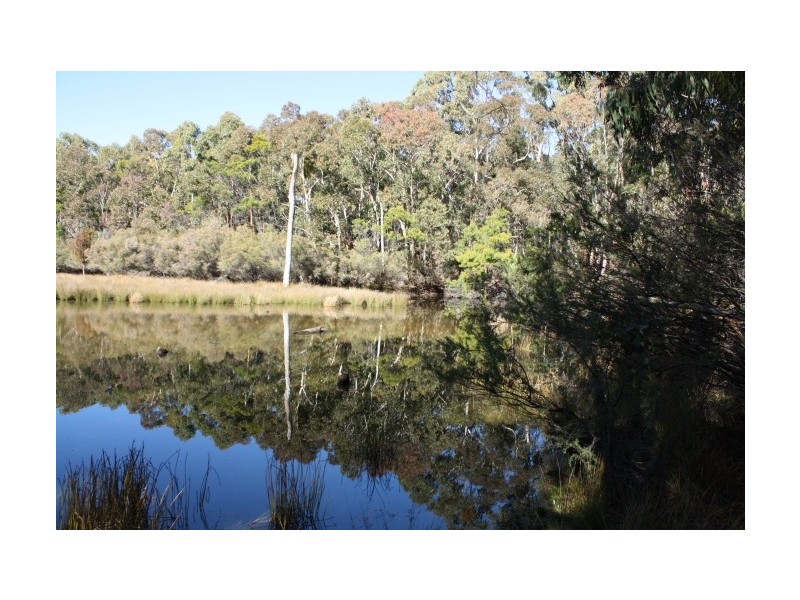 Torrington NSW 2371