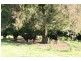 Tenterfield NSW 2372