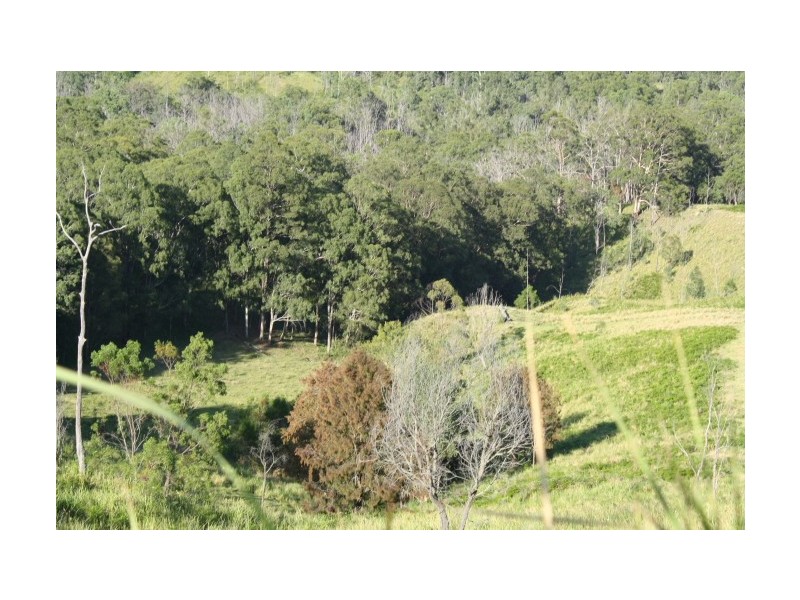 Tenterfield NSW 2372