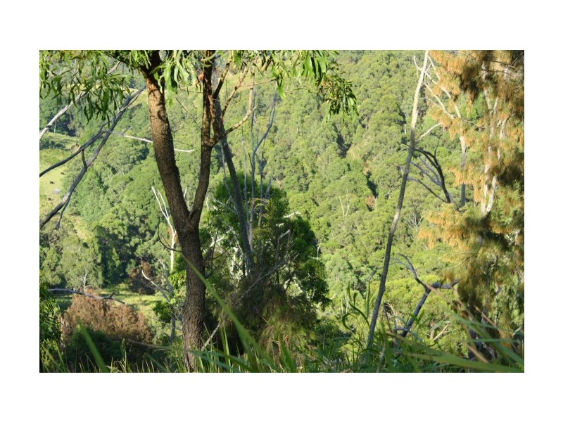 Tenterfield NSW 2372