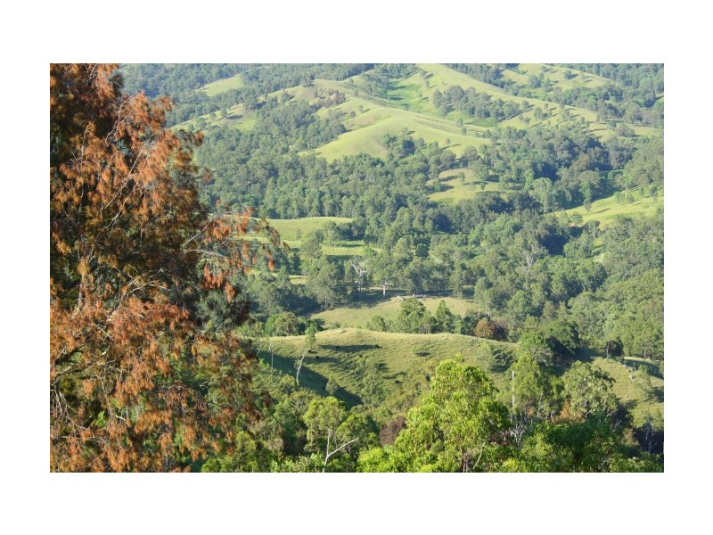 Tenterfield NSW 2372