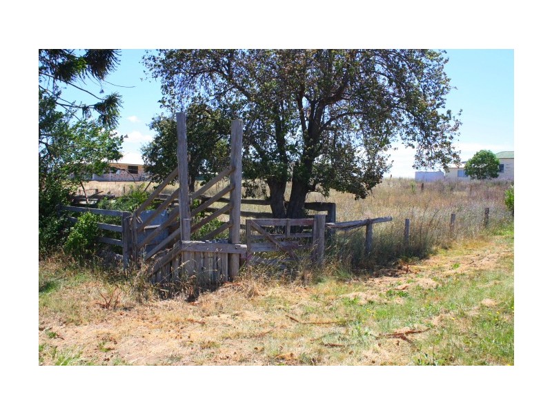 Tenterfield NSW 2372