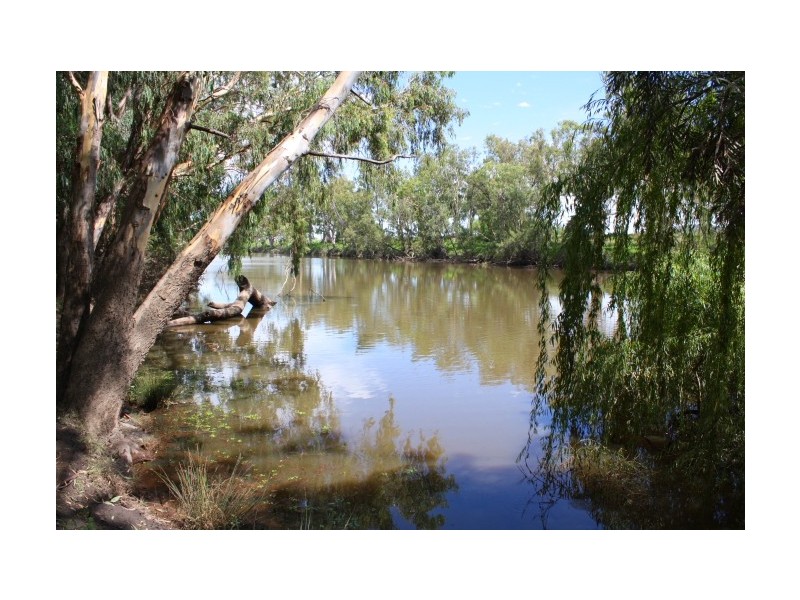 Tenterfield NSW 2372