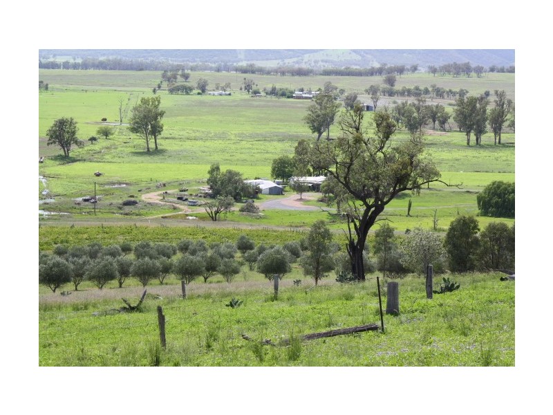 Tenterfield NSW 2372