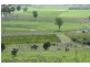Tenterfield NSW 2372