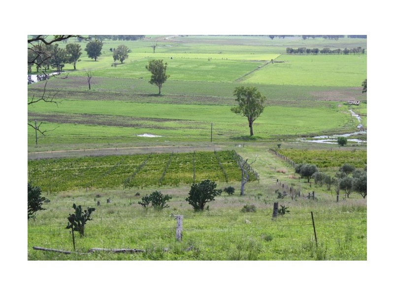 Tenterfield NSW 2372