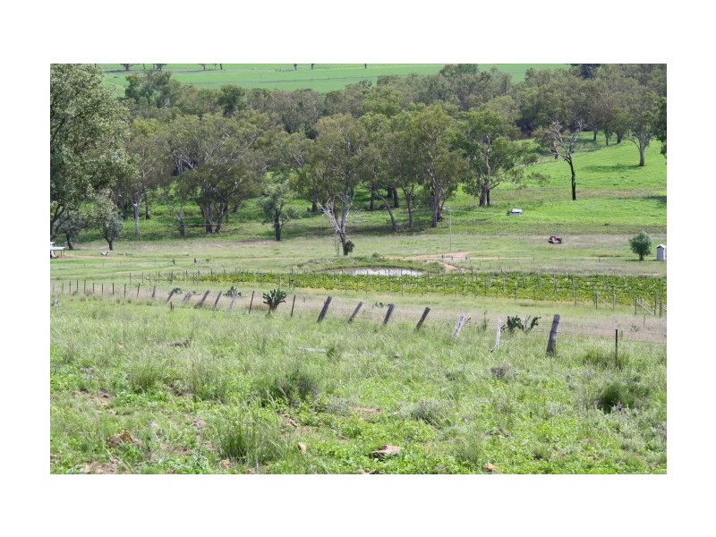 Tenterfield NSW 2372
