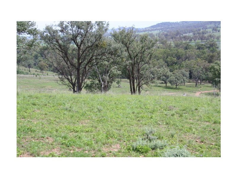 Tenterfield NSW 2372